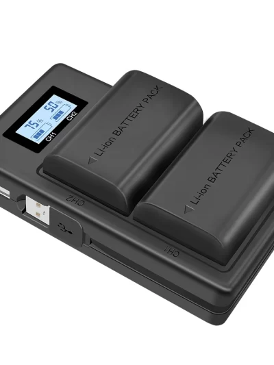LCD Dual USB Battery Charger
